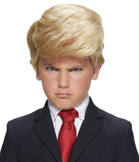 Donald Trump Wig